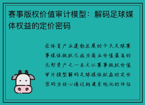 赛事版权价值审计模型：解码足球媒体权益的定价密码